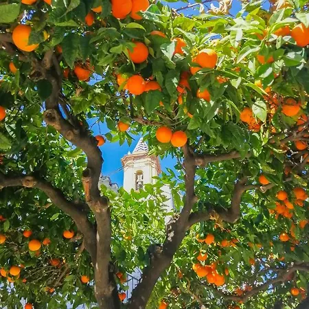 Escape To Apartmán Estepona